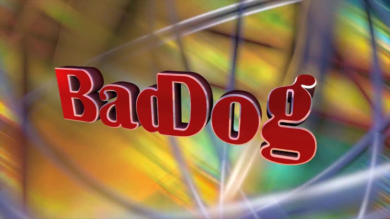 BadDog Digital Productions, Inc. Intro logo animation video clip